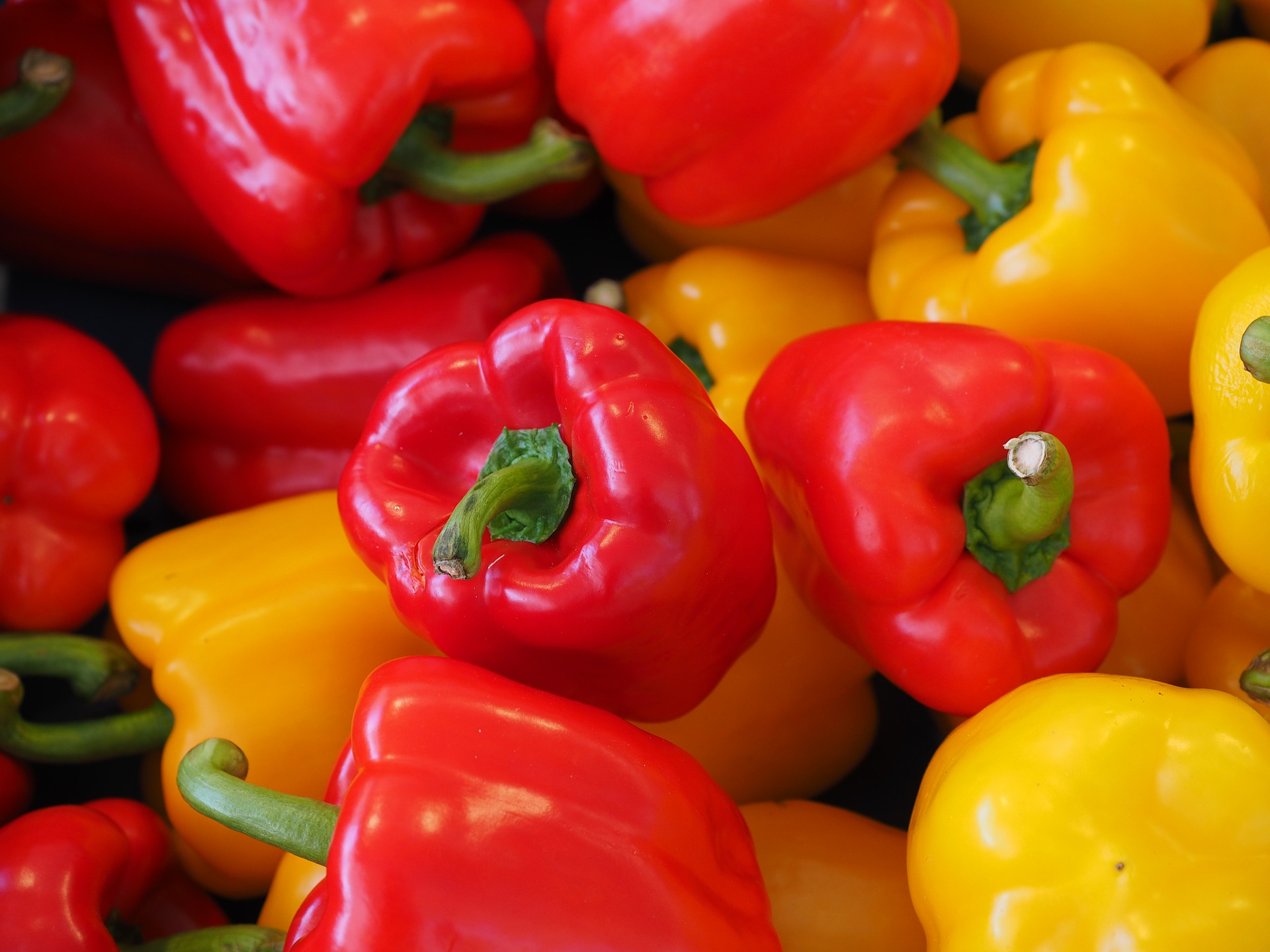 sweet-peppers-499068_1920