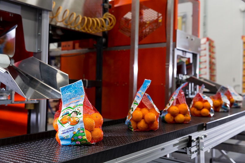 Clementines line of production